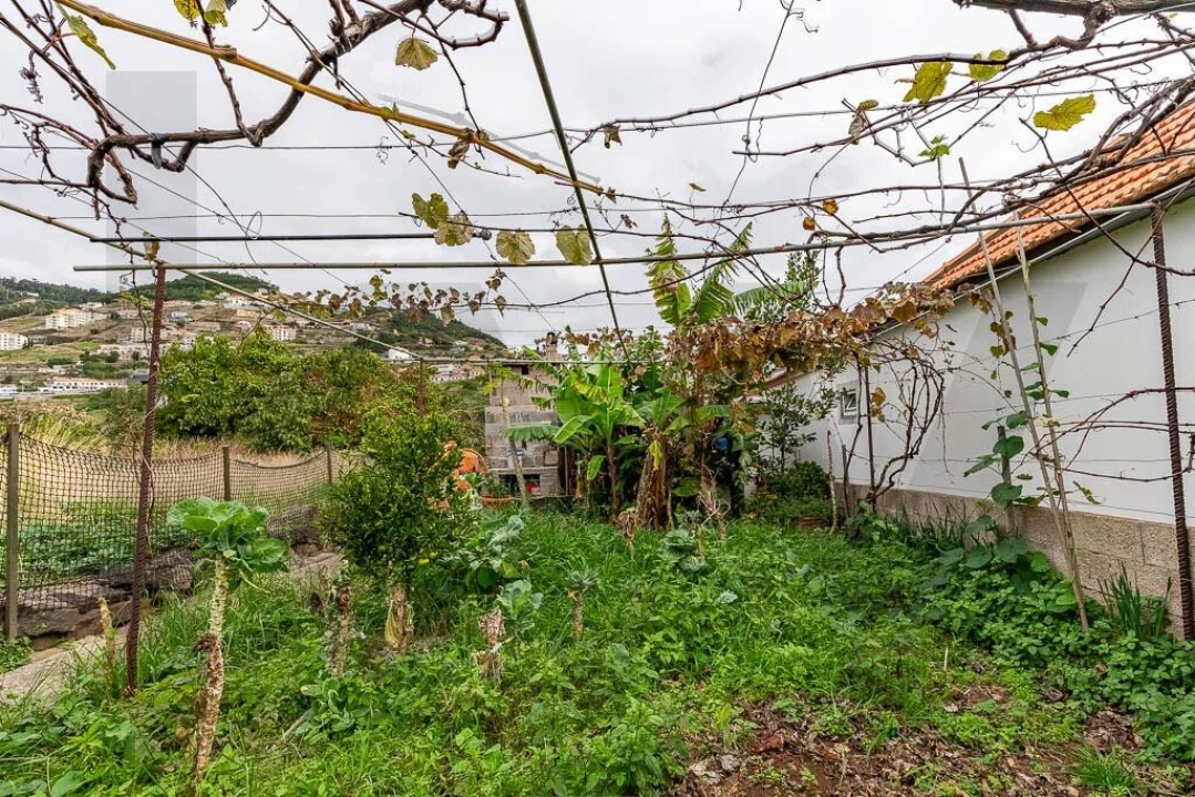 Moradia T3 para Venda em Caniço Foto 24