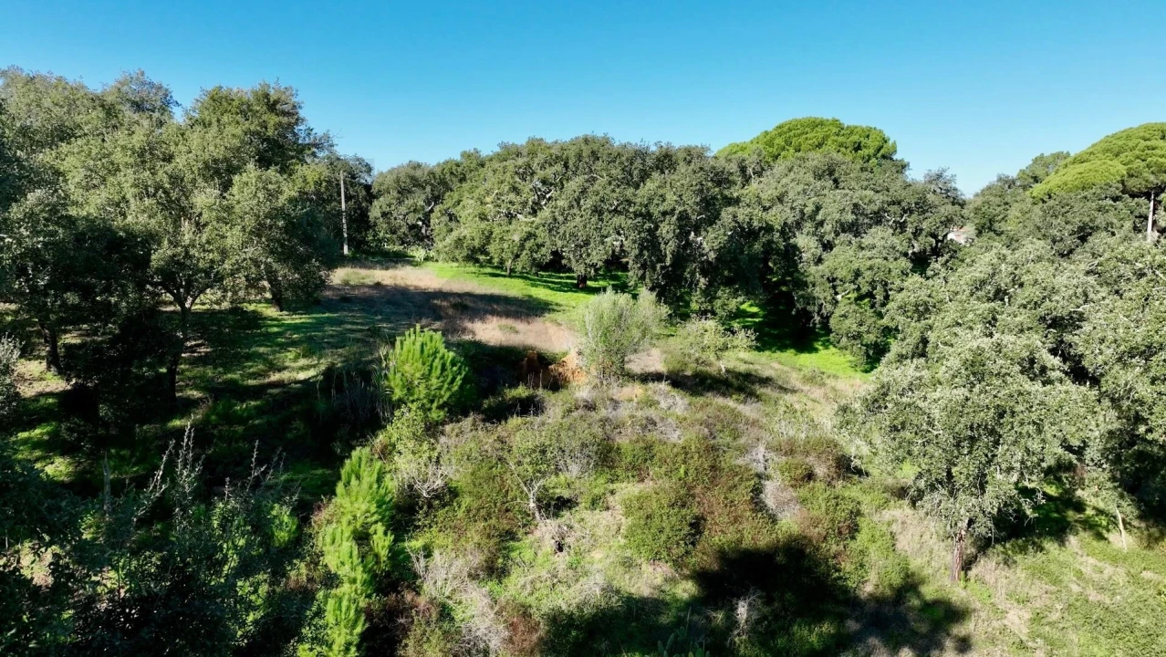 Quinta T2 para Venda em Melides Foto 17