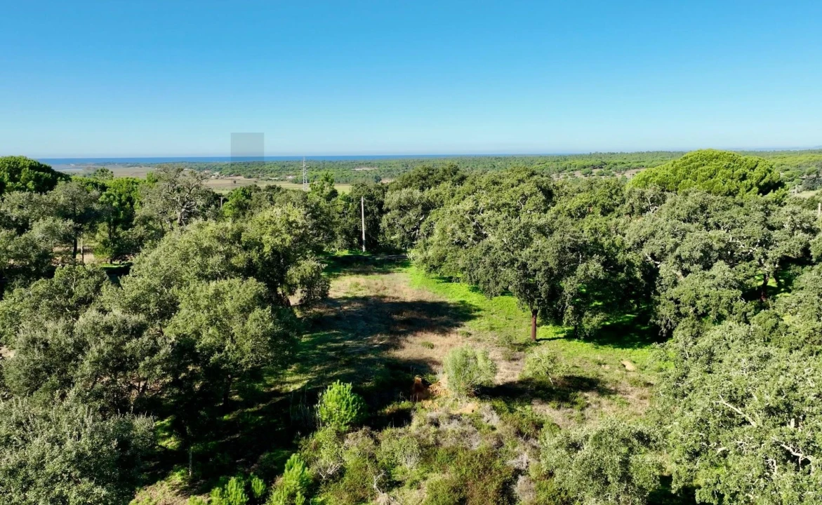 Quinta T2 para Venda em Melides Foto 3