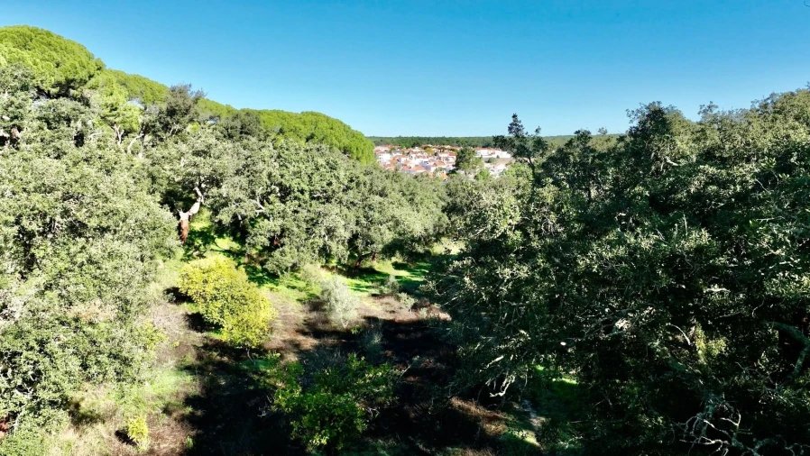 Quinta T2 para Venda em Melides Foto 18