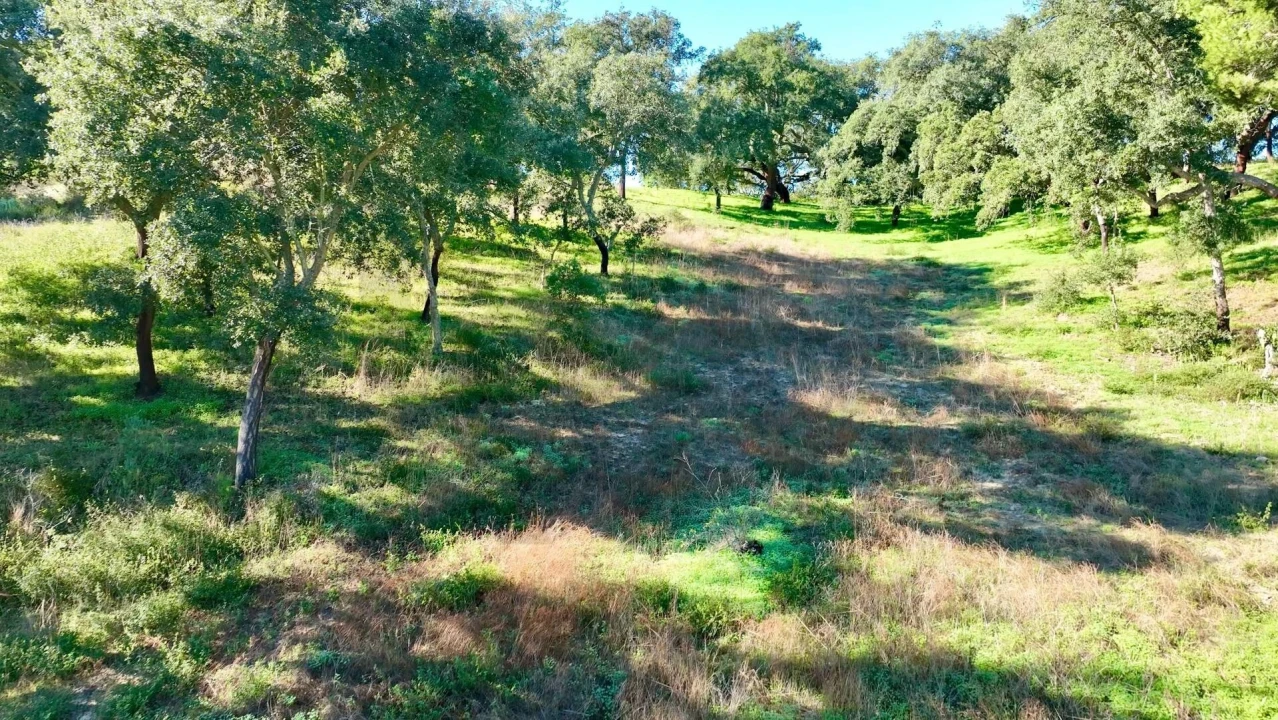 Quinta T2 para Venda em Melides Foto 11