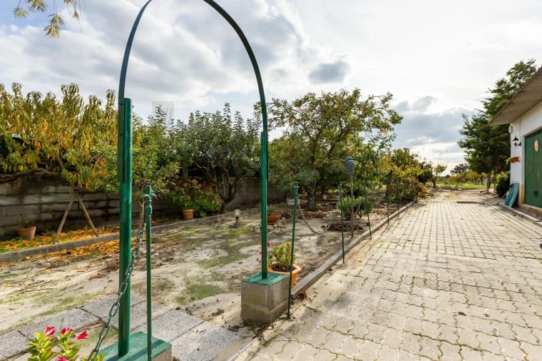 Quinta T4 para Venda em Marinhais Foto 25