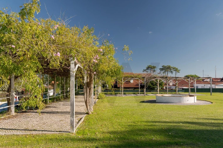 Moradia T4 para Venda em Sesimbra (Castelo) Foto 23