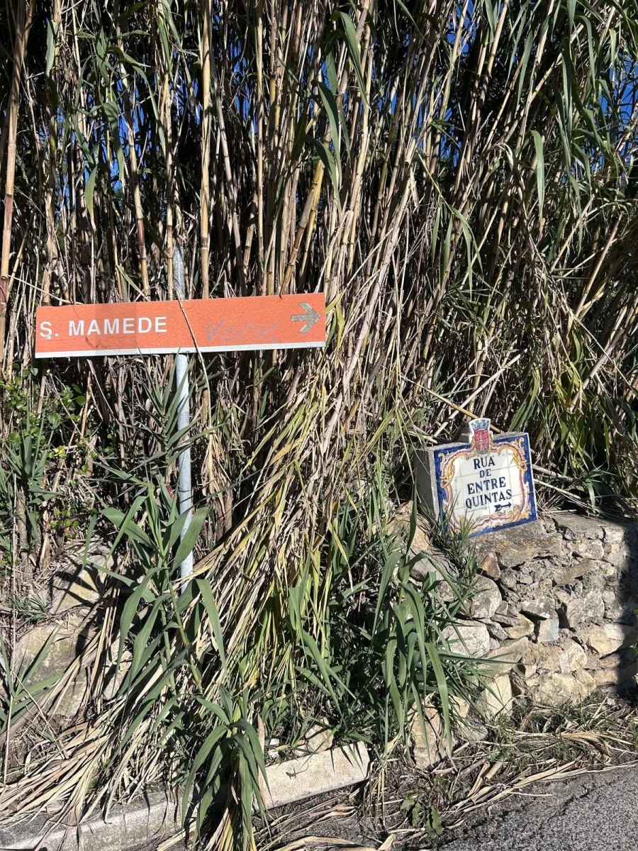 Terreno para Venda em Agualva e Mira-Sintra Foto 2
