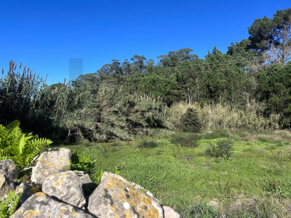 Terreno para Venda em Agualva e Mira-Sintra Foto 5