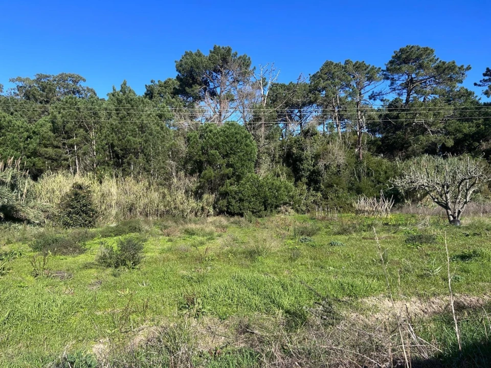 Terreno para Venda em Agualva e Mira-Sintra Foto 4