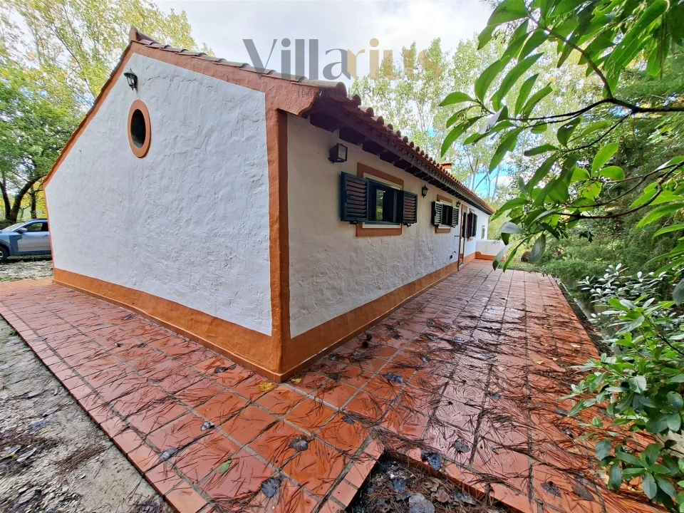 Moradia T2 para Venda em São Pedro de Tomar Foto 6