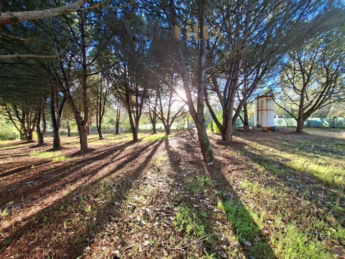 Moradia T2 para Venda em São Pedro de Tomar Foto 31