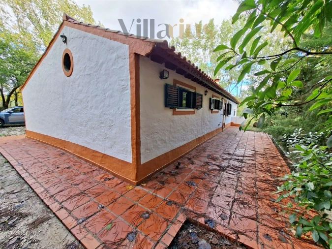 Moradia T2 para Venda em São Pedro de Tomar Foto 6