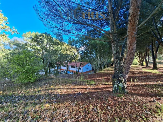 Moradia T2 para Venda em São Pedro de Tomar Foto 32