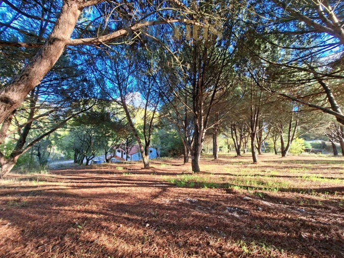 Moradia T2 para Venda em São Pedro de Tomar Foto 3