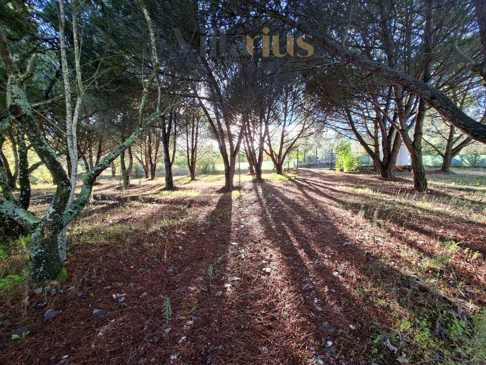 Moradia T2 para Venda em São Pedro de Tomar Foto 30