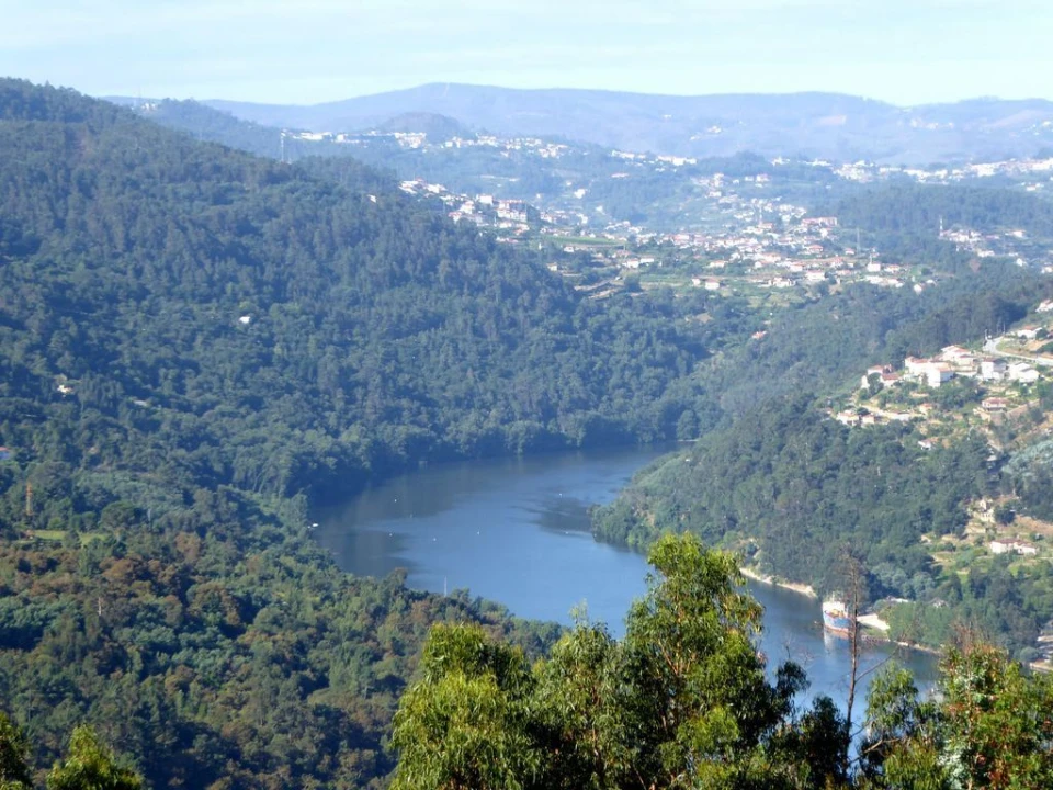 Quinta para Venda em Marco Foto 3