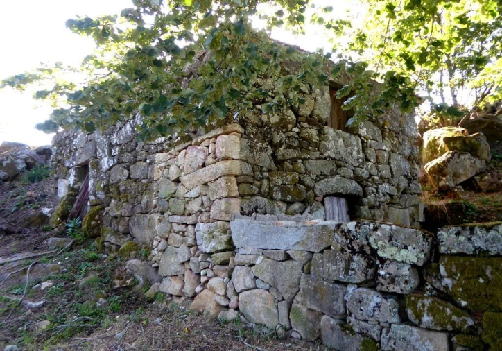 Quinta para Venda em Marco Foto 1