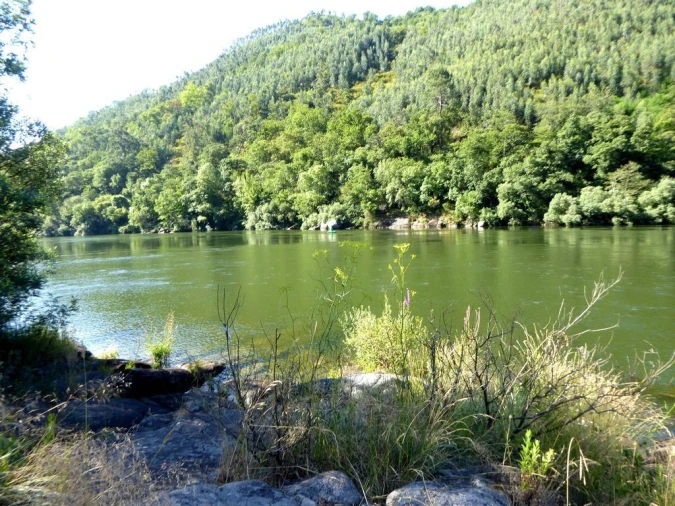 Quinta para Venda em Marco Foto 4