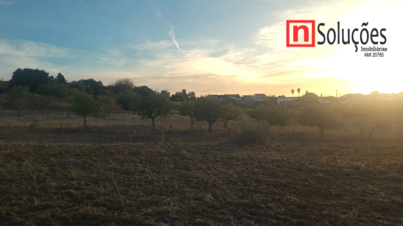 Moradia T6 para Venda em São Vicente do Paul e Vale de Figueira Foto 37