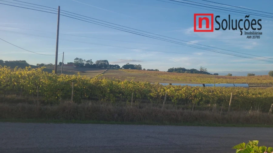 Moradia T6 para Venda em São Vicente do Paul e Vale de Figueira Foto 33