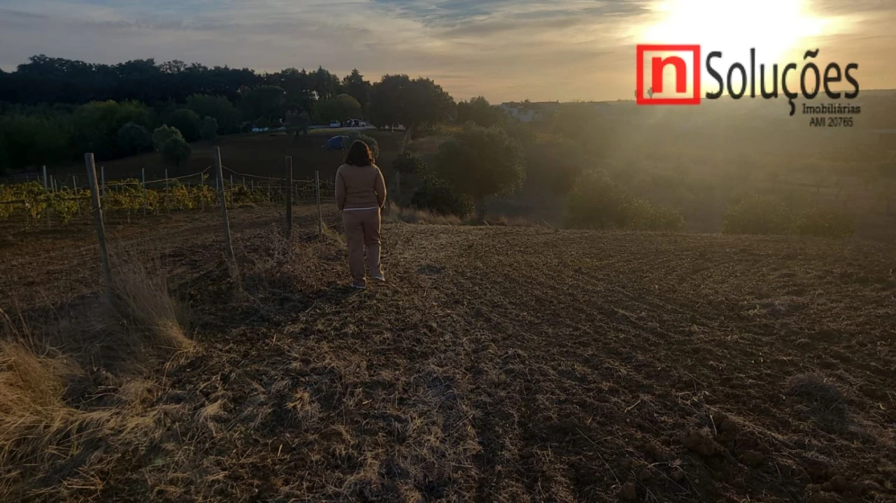 Moradia T6 para Venda em São Vicente do Paul e Vale de Figueira Foto 34