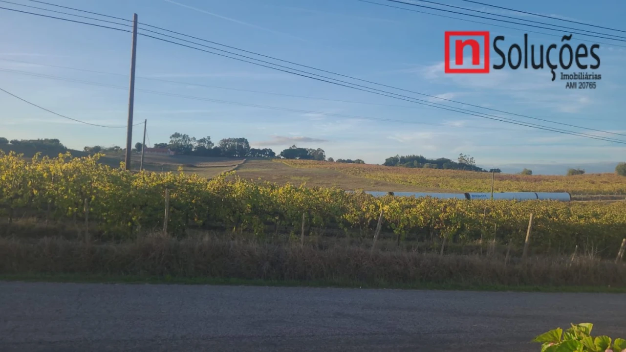 Moradia T6 para Venda em São Vicente do Paul e Vale de Figueira Foto 33