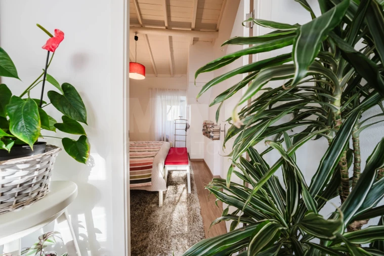 Moradia T3 para Venda em Santa Maria, São Pedro e Sobral da Lagoa Foto 7