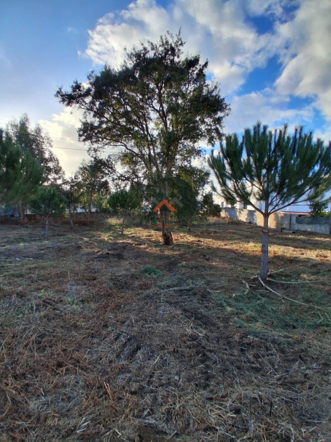 Terreno para Venda em Aguada de Cima Foto 10