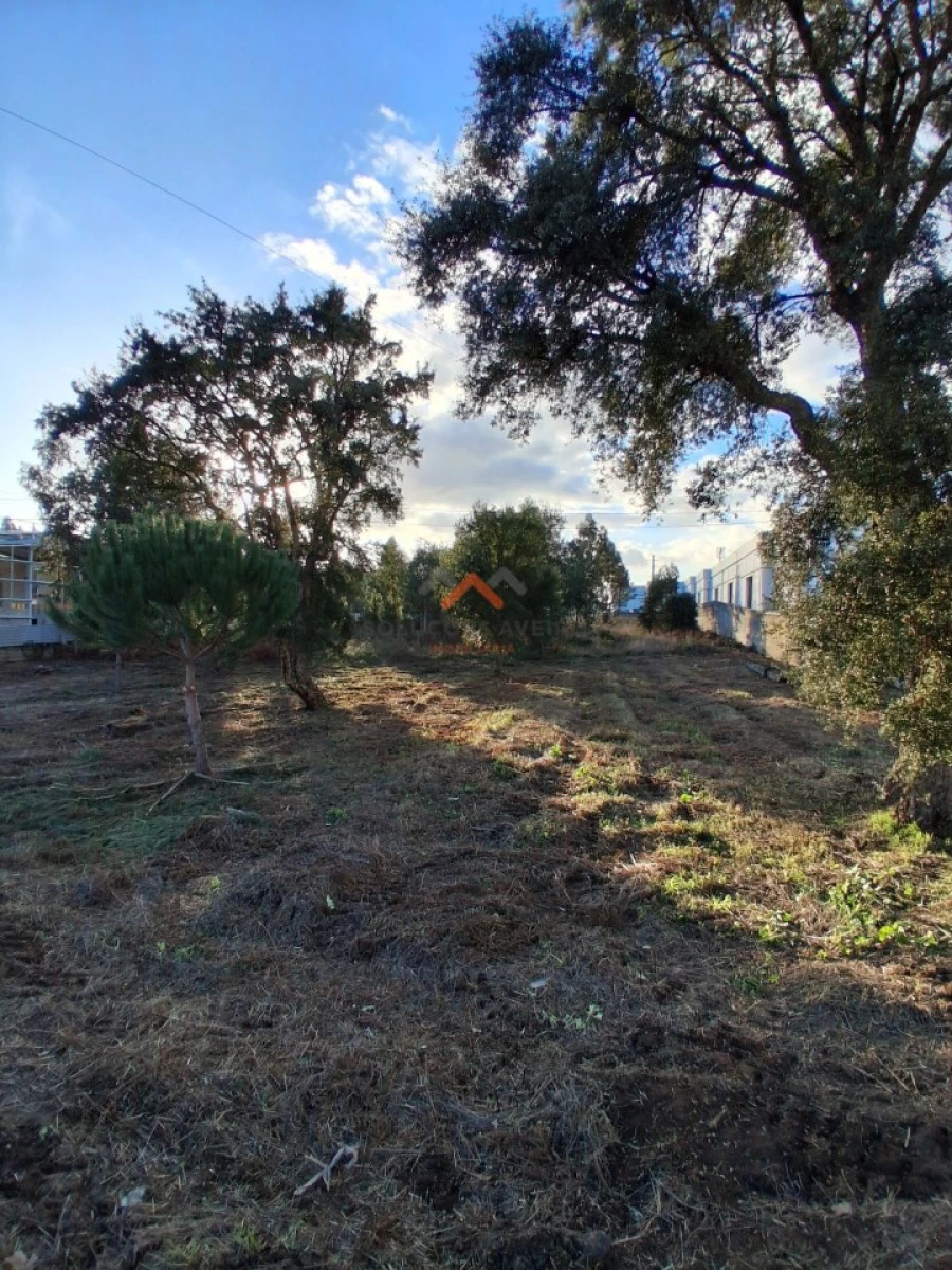 Terreno para Venda em Aguada de Cima Foto 7