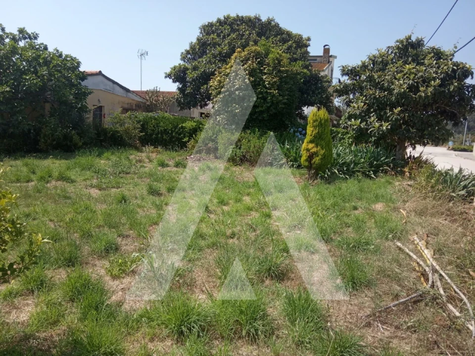 Terreno para Venda em Angeja Foto 2