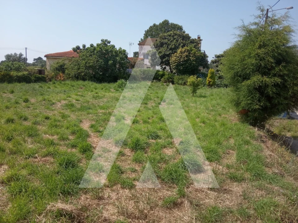 Terreno para Venda em Angeja Foto 1