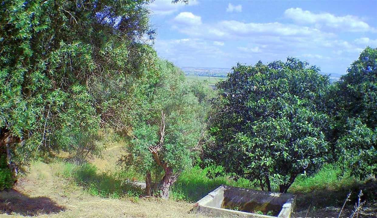 Moradia T2 para Venda em Marvila, Ribeira Santarém, São Salvador, São Nicolau Foto 24