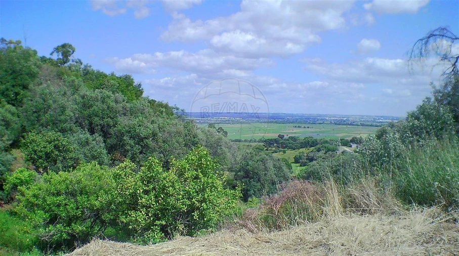 Moradia T2 para Venda em Marvila, Ribeira Santarém, São Salvador, São Nicolau Foto 17