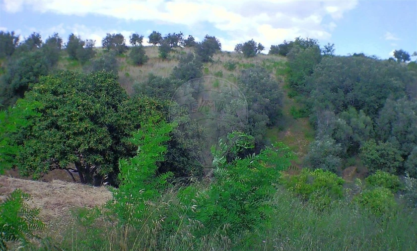Moradia T2 para Venda em Marvila, Ribeira Santarém, São Salvador, São Nicolau Foto 13