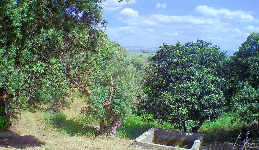 Moradia T2 para Venda em Marvila, Ribeira Santarém, São Salvador, São Nicolau Foto 24