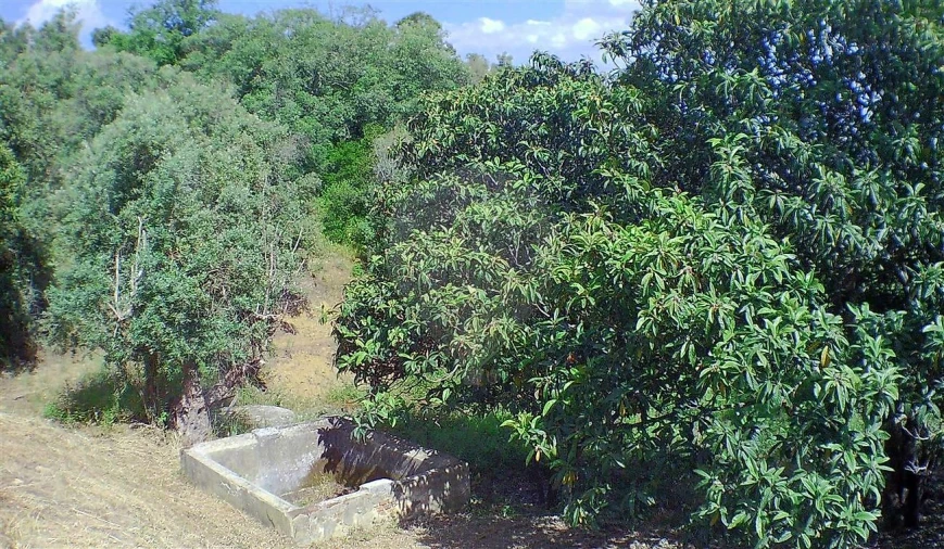 Moradia T2 para Venda em Marvila, Ribeira Santarém, São Salvador, São Nicolau Foto 25