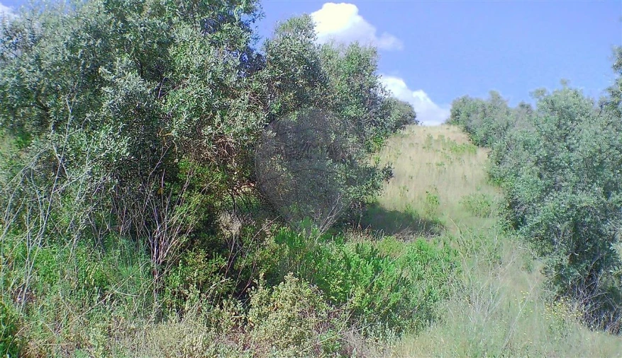 Moradia T2 para Venda em Marvila, Ribeira Santarém, São Salvador, São Nicolau Foto 22