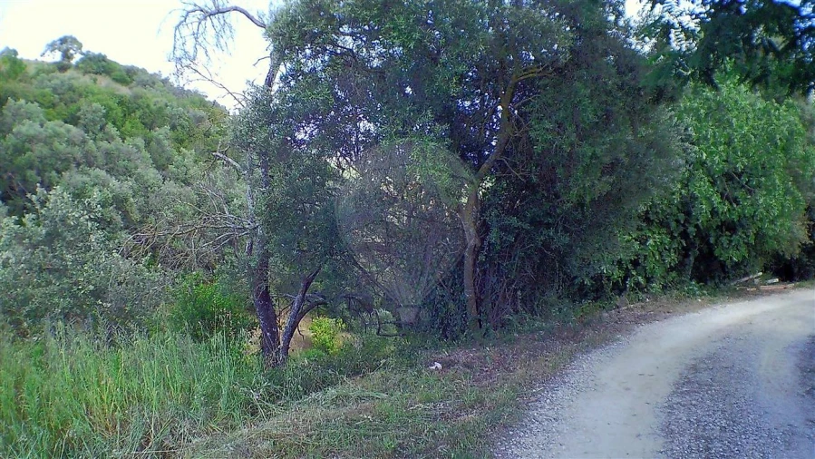 Moradia T2 para Venda em Marvila, Ribeira Santarém, São Salvador, São Nicolau Foto 23