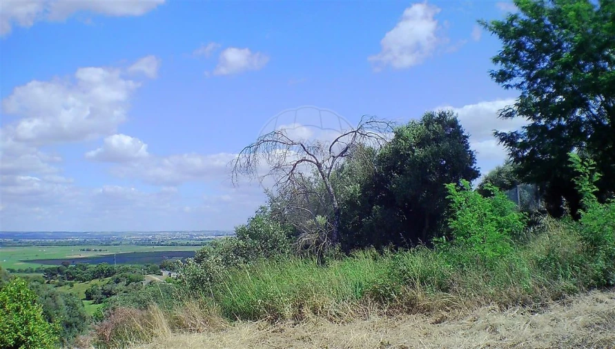 Moradia T2 para Venda em Marvila, Ribeira Santarém, São Salvador, São Nicolau Foto 12