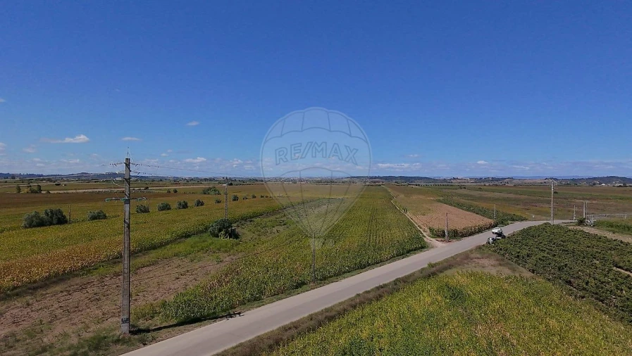 Terreno para Venda em Alpiarça Foto 6