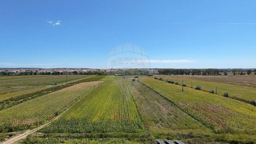 Terreno para Venda em Alpiarça Foto 3