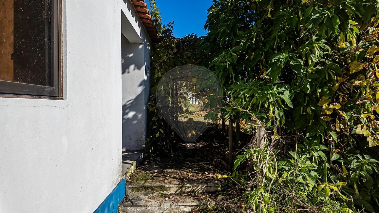 Moradia T3 para Venda em Abitureiras Foto 38