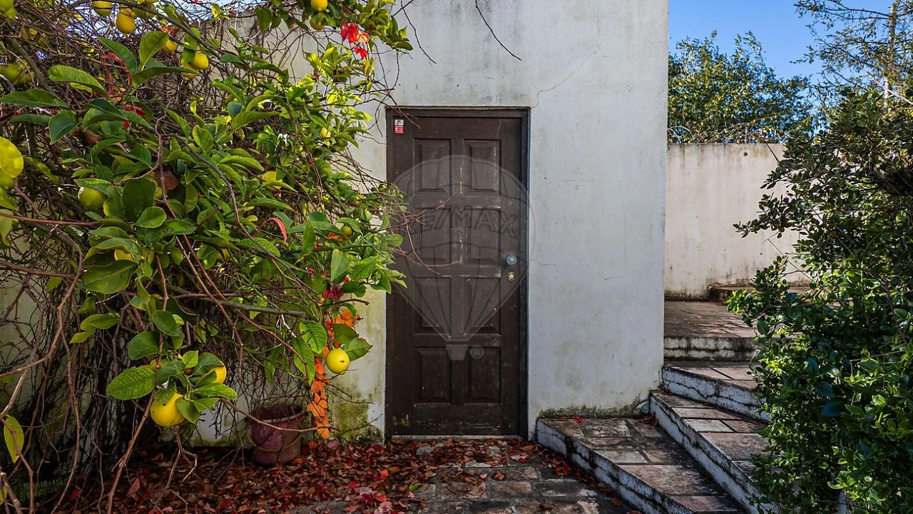 Moradia T3 para Venda em Abitureiras Foto 32