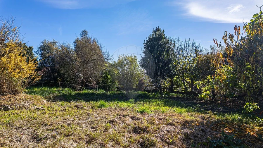 Moradia T3 para Venda em Abitureiras Foto 33