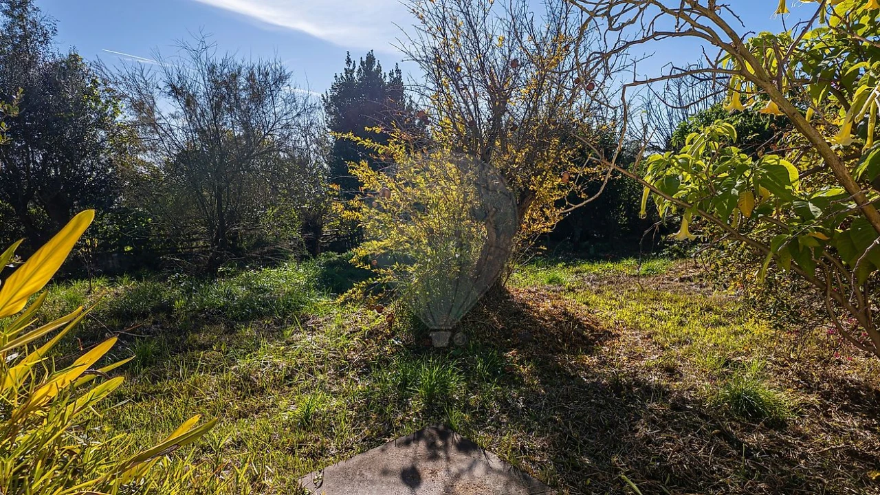 Moradia T3 para Venda em Abitureiras Foto 29