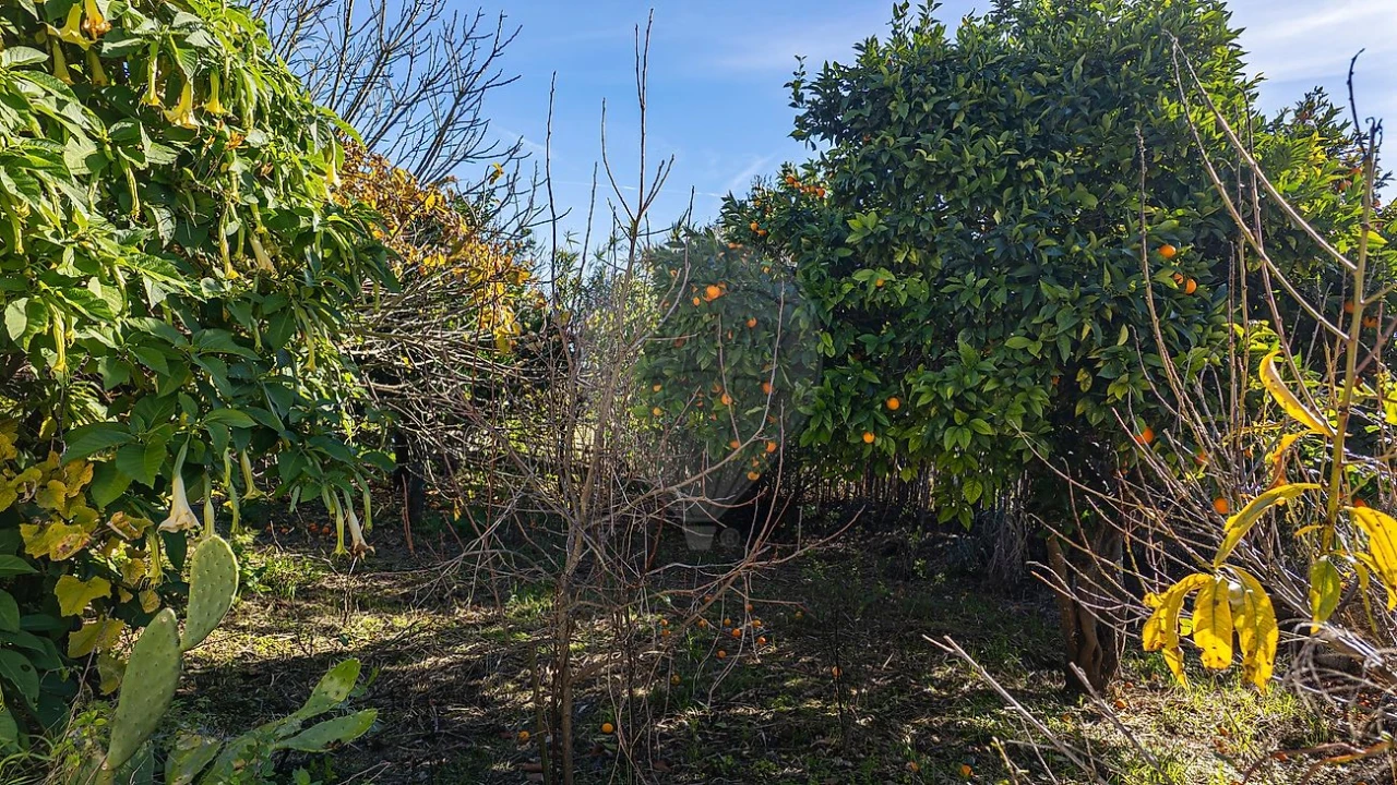 Moradia T3 para Venda em Abitureiras Foto 34