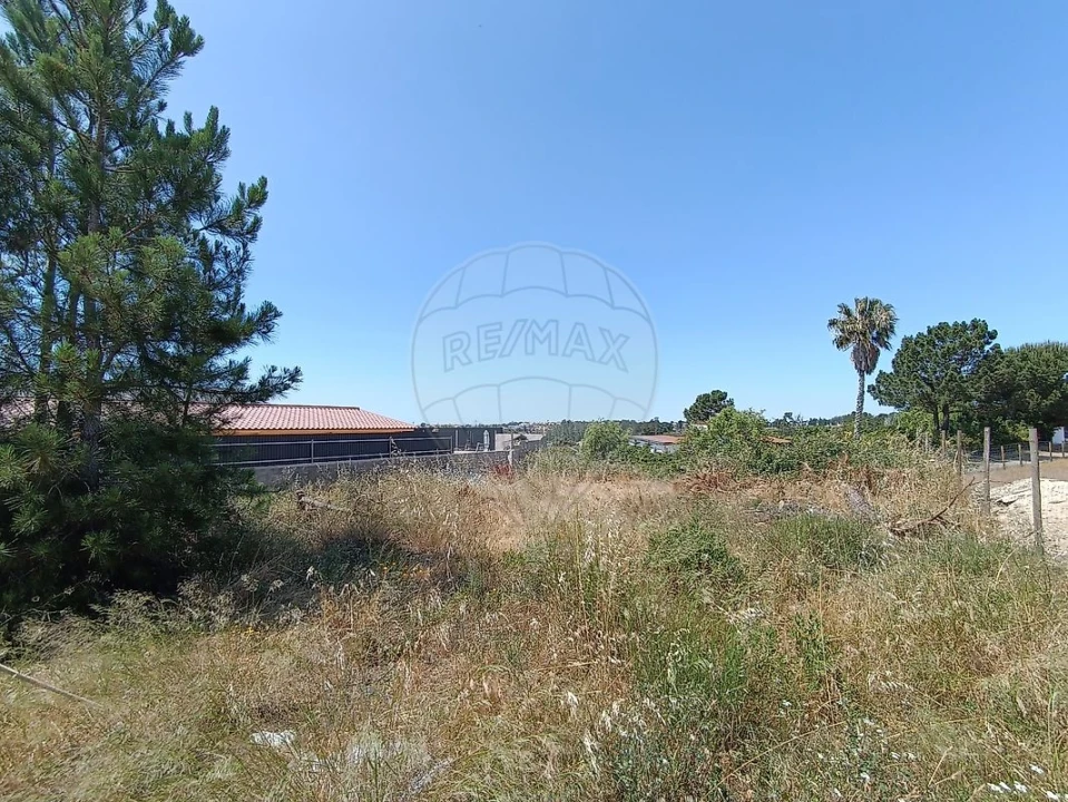 Terreno para Venda em Quinta do Anjo Foto 2