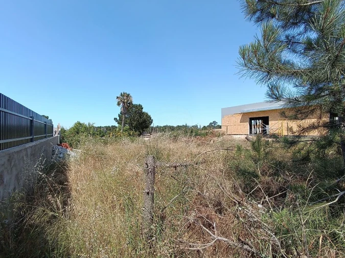 Terreno para Venda em Quinta do Anjo Foto 6