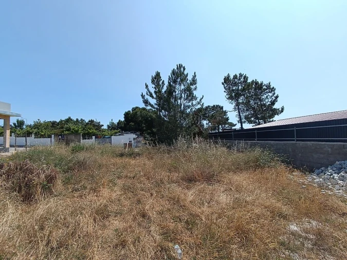 Terreno para Venda em Quinta do Anjo Foto 3