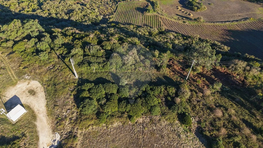 Terreno para Venda em Santiago dos Velhos Foto 5