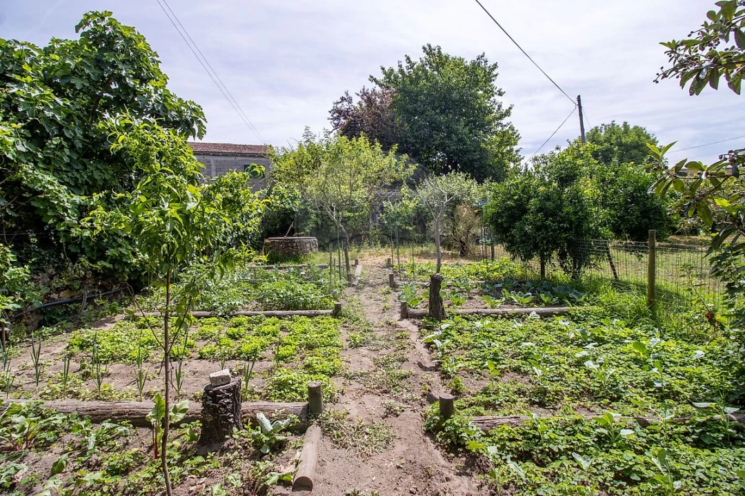 Moradia T4 para Venda em Mouçós e Lamares Foto 9