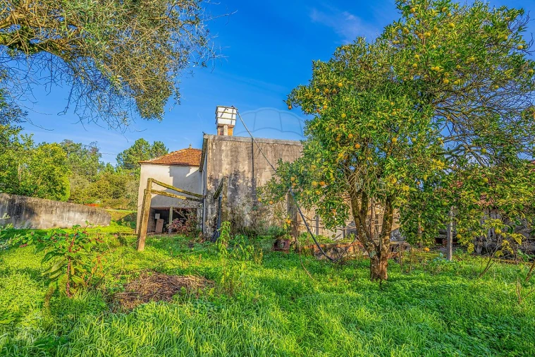 Moradia T3 para Venda em Pombal Foto 34