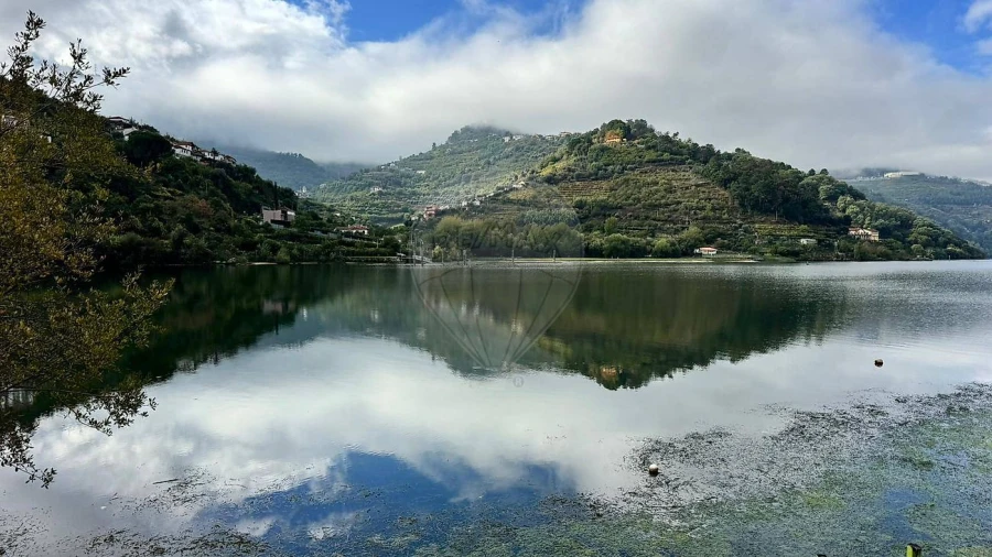Quinta T0 para Venda em Barqueiros